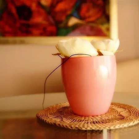 圣乔治酒店 酒店 索菲亞